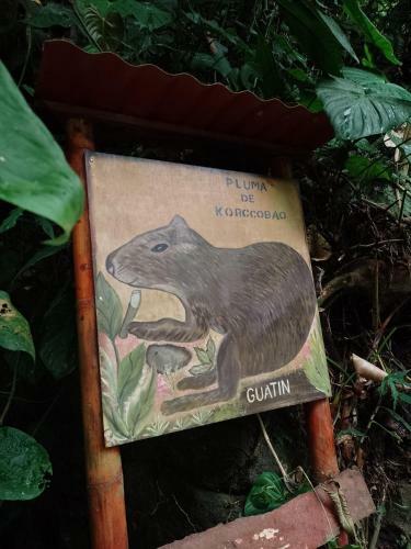 Finca Agroturistica La Reconexi�n