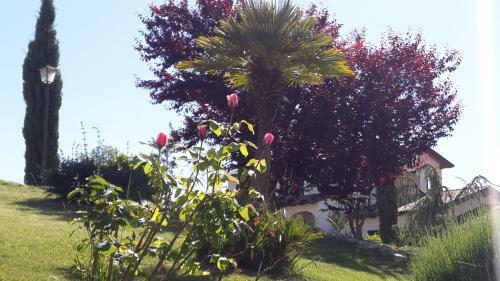 Apartamento Borgo Nicoletta