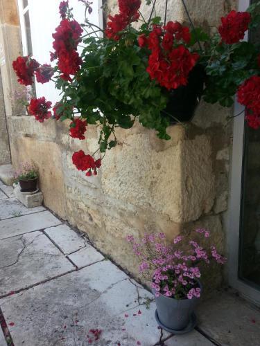 Hotel H�tel Du Roy