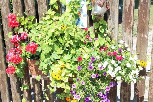 Bed & Breakfast La T�te Dans Les Etoiles