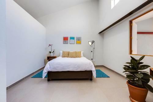 Entire Modern Loft Apartment - Sleeps 6 - Best Rates. Private & Central