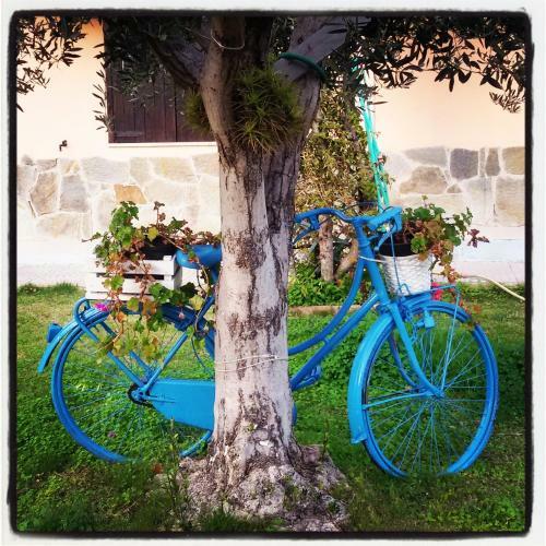 Bed & Breakfast Mirto E Mare
