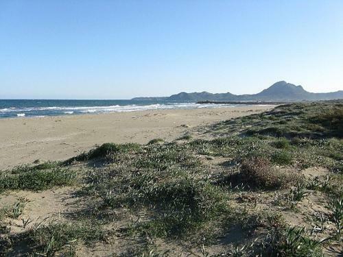 Bed & Breakfast Mirto E Mare