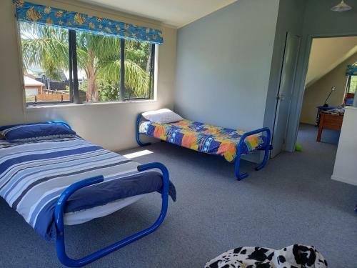 Palm Retreat - Matarangi Holiday Home