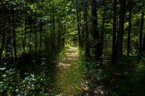 Chic Boh�me, Bord de Lac Priv�, 30min de Tremblant