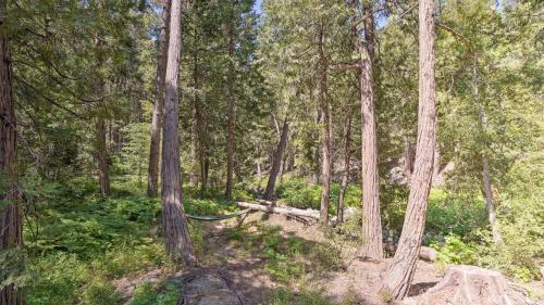 Rustic, Forested Cabin With Wraparound Deck!