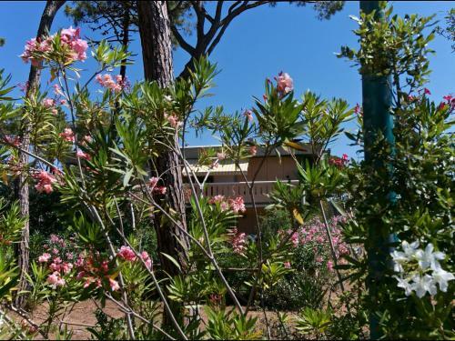 Apartment Il Girasole Grosseto