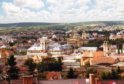 Ferienhaus Apartmanh�z Zal�nki