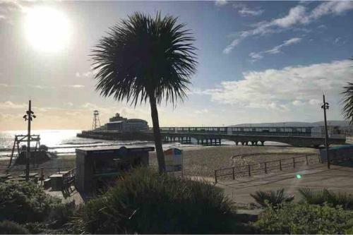 Bournemouth Apartmentnr Beach/town/coach/train/dog