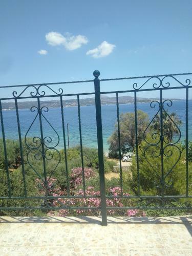 Siren's House