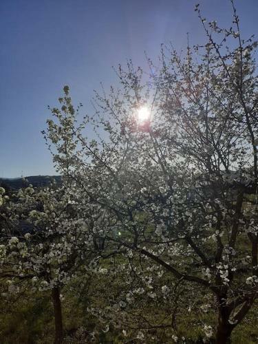 Apartamento Ioannina Cozy Retreat