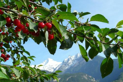 Bed & Breakfast Affittacamere Verger Plein Soleil