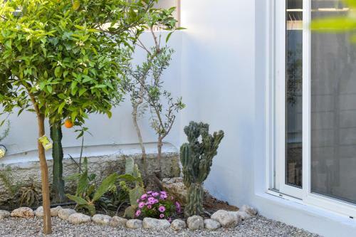 Garden Cellar - Kalamata Mediterranean Villas