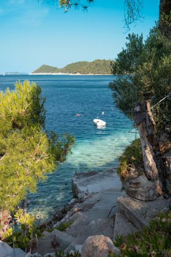 Apartments Lastovo Sili?