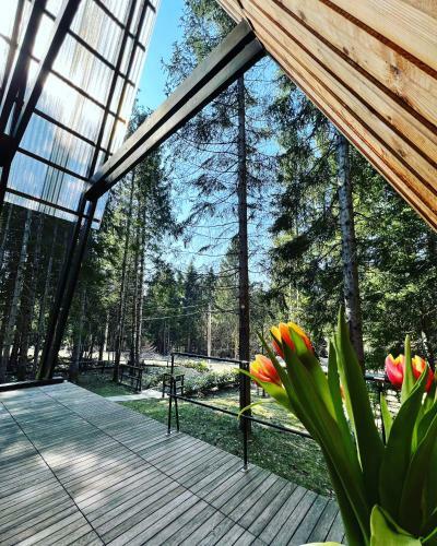 Forest House Stella - A Frame Cabin