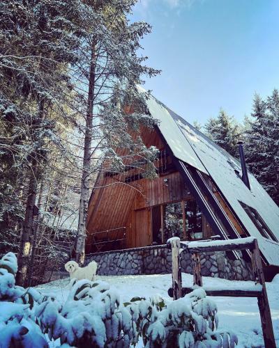 Forest House Stella - A Frame Cabin