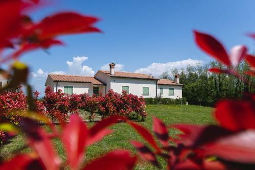 Villa Mara Istria
