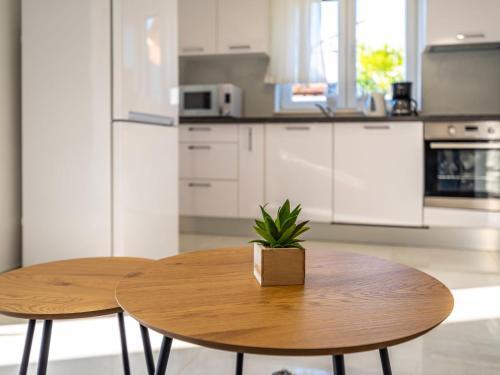 Apartment Ilux-1