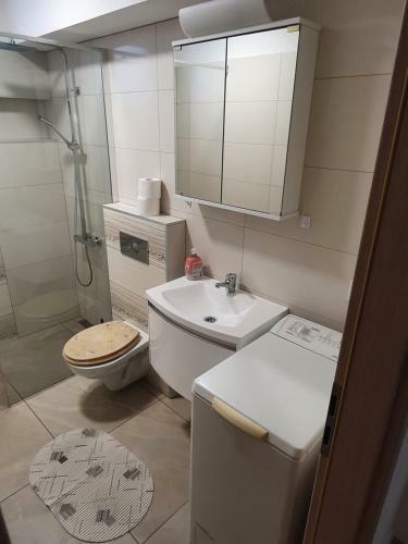 Apartmani Janja