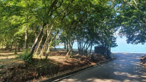 Divine View Apartma