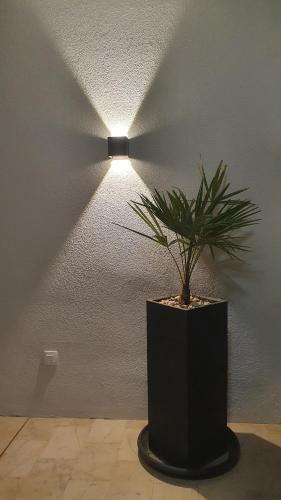 Divine View Apartma