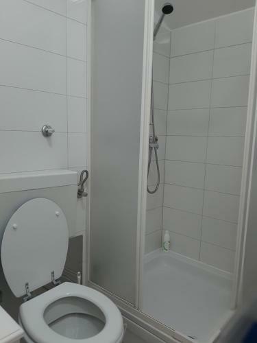 Studio Apartman Lady