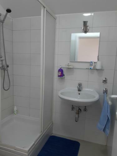 Studio Apartman Lady