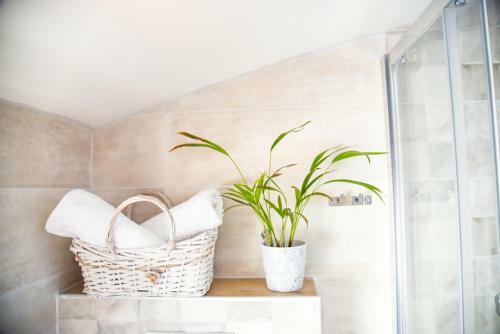 Apartamento Aptartment - Istrian Dream With Swimming Pool