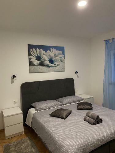 Apartment & Rooms - Marina