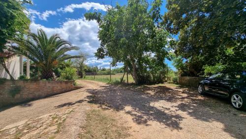 Apartamento Davor
