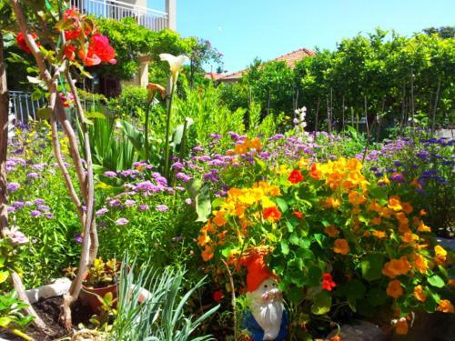 Apartmani Marijela