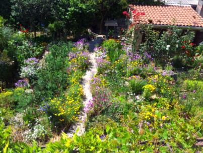 Apartmani Marijela