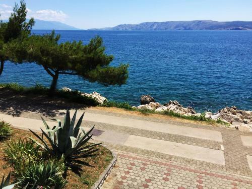 Hostal Guest House Zimmer Novi