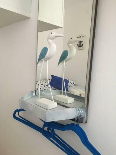 Apartment Ena, Zrce