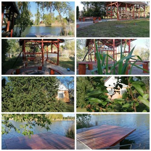 Bogd�n Vend�gh�za