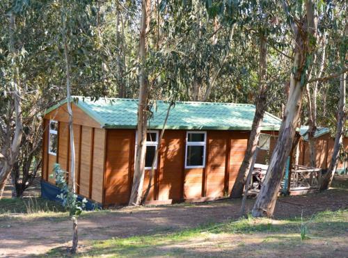Camping Du Soleil
