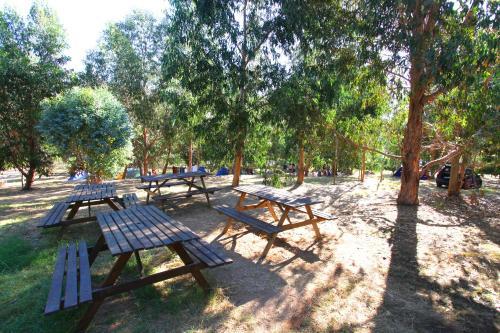 Camping Du Soleil