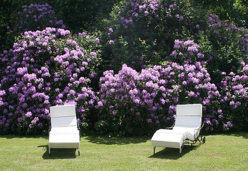 Bed & Breakfast Au Ch�teau