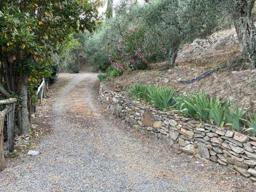 Villa Podere Par Di Rota