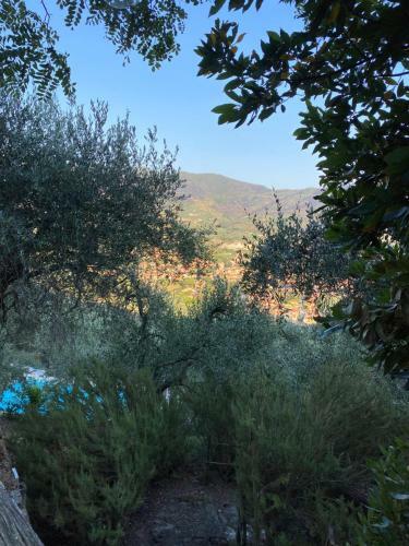 Villa Podere Par Di Rota