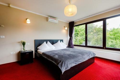 Bed & Breakfast Rex Infinity View 4* Cazanele Dunarii