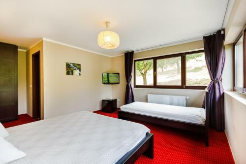 Bed & Breakfast Rex Infinity View 4* Cazanele Dunarii