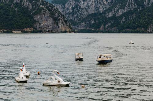Bed & Breakfast Rex Infinity View 4* Cazanele Dunarii
