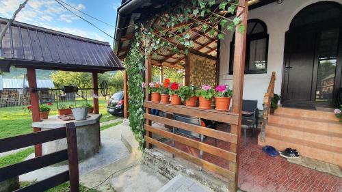 Agroturismo Cazare La Ferma Crinei