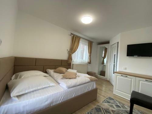 Hostal Pensiunea Bocule? Gura Humorului