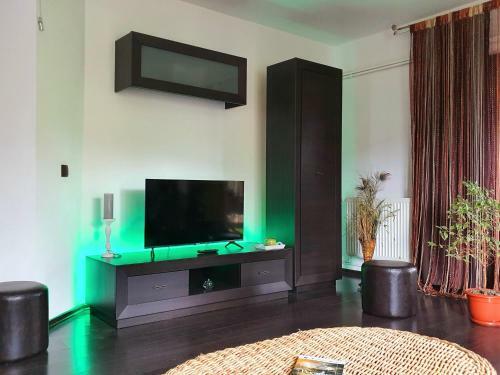Villa Vila Flora �n Gura Humorului