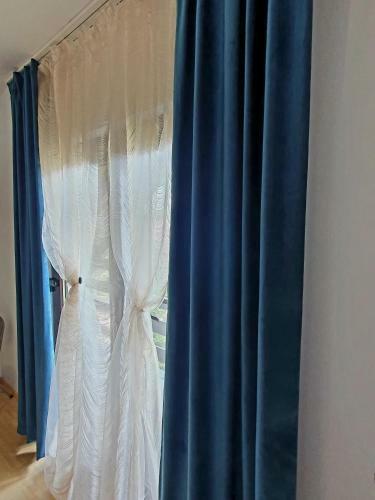 Villa Vila Flora �n Gura Humorului