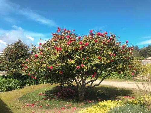 Cozy Classic Apartments - Pal�cio Da Quinta Da Portela