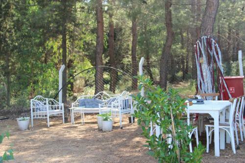Bed & Breakfast Comfy Apart Surrounded By Nature In Kusadasi