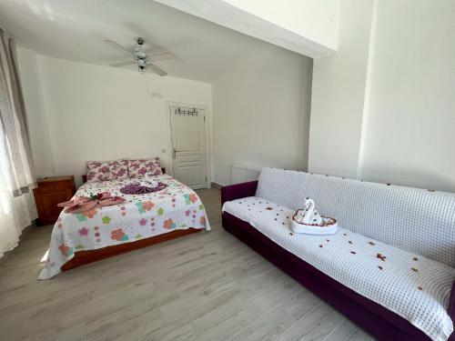 Large House Top Location (Only 100m To The Beach)